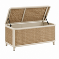 Cassapanca da giardino 120 x 45 x 60 cm in rattan sintetico beige con coperchio sollevabile
